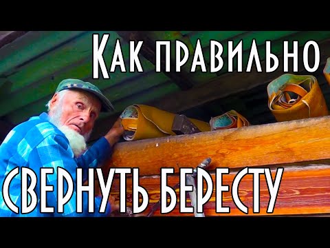 Видео: Береста. Сбор и старинный способ хранения.