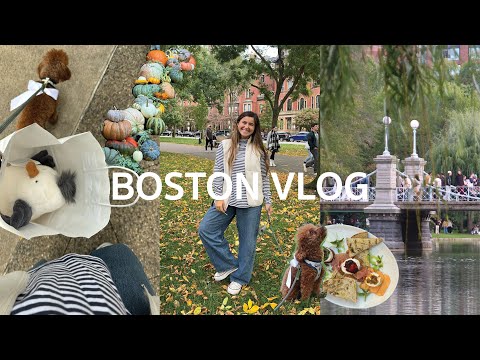Видео: день из моей жизни в Бостоне!
