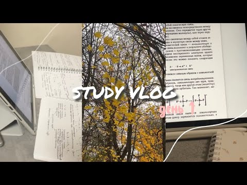 Видео: учебная неделя влогов / день 1 