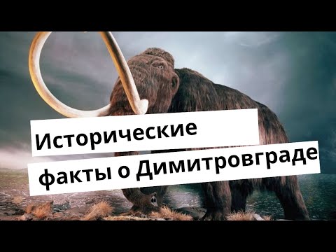 Видео: Спецпроект. Факты об истории Димитровграда, о которых вы скорее всего не знали