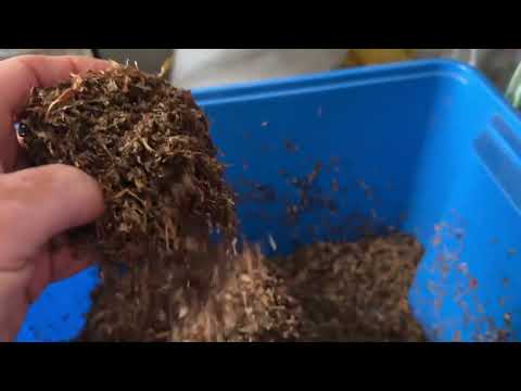 Видео: Ферментация Табака 