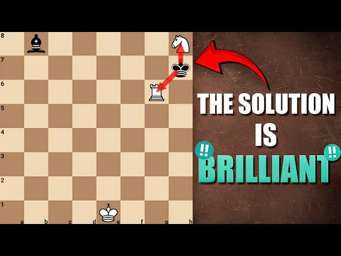 Видео: Можно ли выиграть белыми?