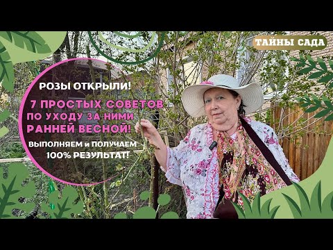 Видео: РОЗЫ ОТКРЫЛИ! ЧТО ДЕЛАТЬ ДАЛЬШЕ? 7 ПРОСТЫХ СОВЕТОВ ОТ МАМЫ ТАТЬЯНЫ ПО УХОДУ ЗА НИМИ РАННЕЙ ВЕСНОЙ!