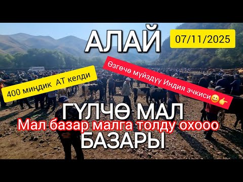 Видео: АЛАЙ МАЛ БАЗАР// УЙЛАР//АТТАР // КОЙЛОР// ПРЕЦ ЧӨП // ТООКТОР. 07/11/25