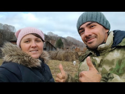 Видео: Поменяли городскую жизнь на это/ Сено будет?/ Мила Тевикова