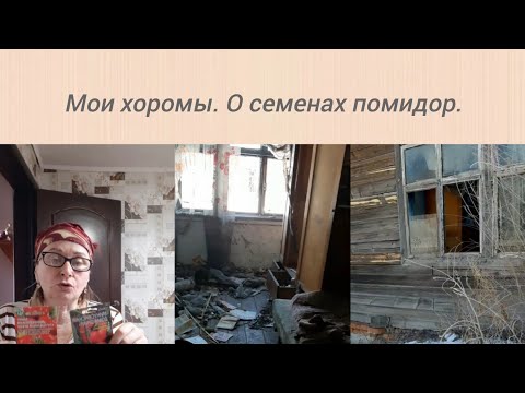 Видео: Воскресные хлопоты.