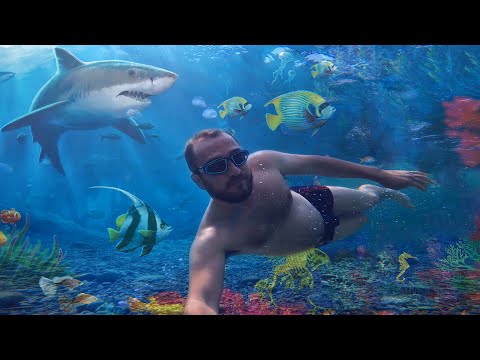 Видео: Крым - ПОДВОДНЫЙ МИР. Лучшее место для ПОГРУЖЕНИЙ.