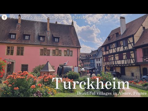 Видео: Туркхайм, симпатичная деревушка в Эльзасе, Франция / Местная кухня в эльзасском ресторане / Пино Гри
