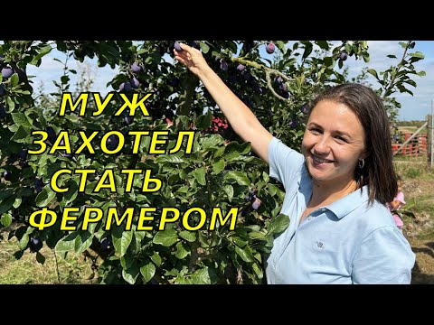 Видео: Я в шоке- это все сгниет! 🙀 На ферме у немцев собираем урожай 