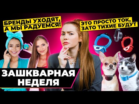 Видео: Почему Блогеры рады санкциям? | Зашквар недели