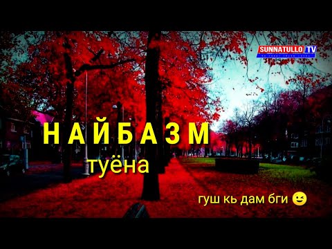 Видео: НАЙБАЗМ  ТУЁНА