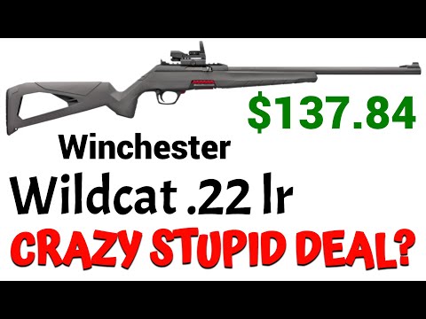 Видео: Обзор Winchester Wildcat 22 lr