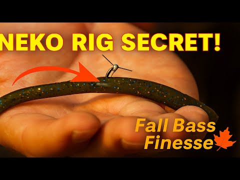 Видео: Лучший осенний комплект снастей Дрю Бентона | Советы по ловле окуня | Ловля окуня