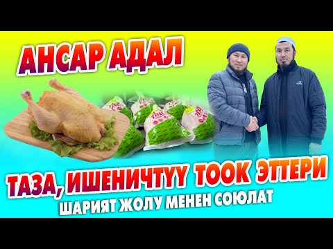 Видео: АНСАР адал ТООК ЭТТЕРИН алыңыздар ~ Адал, Ишеничтүү, Таза ~ Шарият жолу менен союлат