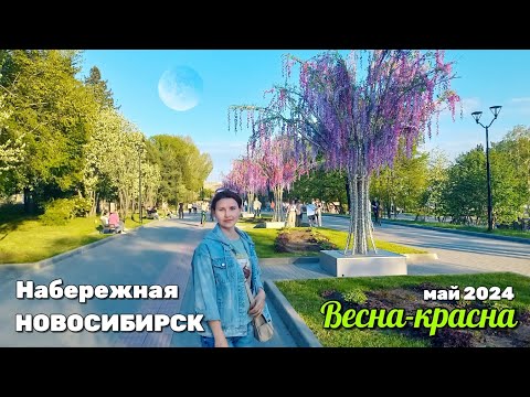 Видео: НАБЕРЕЖНАЯ зацвела новыми красками - ЛУНА в телескоп - май 2024