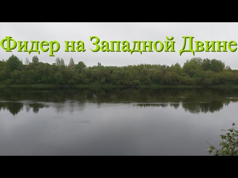 Видео: Фидер на Западной Двине, сутки на природе.