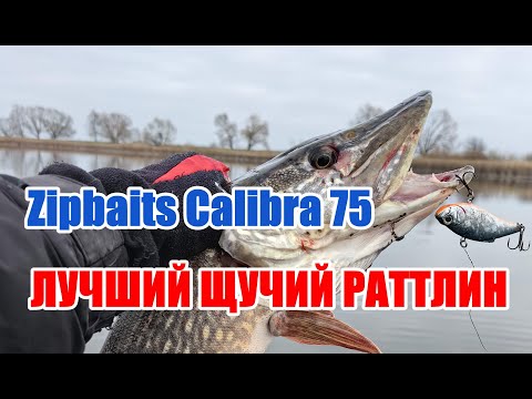 Видео: ОДИН ИЗ ЛУЧШИХ РАТТЛИНОВ НА ЩУКУ - Zipbaits Calibra 75