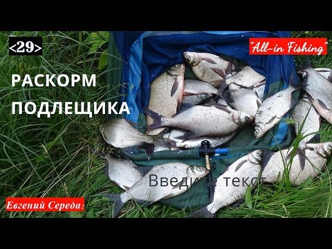 Видео: Раскорм подлещика. "All-in Fishing". Вып. 29.