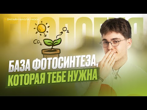 Видео: БАЗА ФОТОСИНТЕЗА, КОТОРАЯ ТЕБЕ НУЖНА | ЕГЭ по биологии | НОО