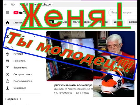 Видео: АПШЕРОНСК и его Махровые скаты, дискусы!!! 