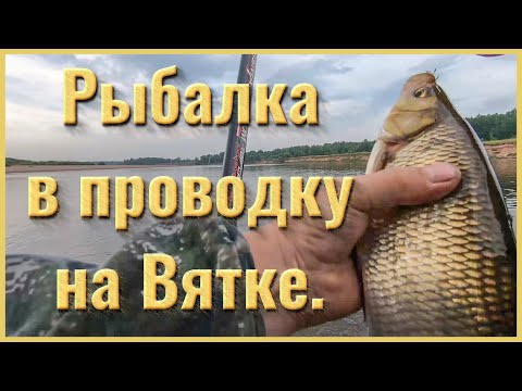 Видео: Рыбалка в проводку на Вятке.  Июль 2020.