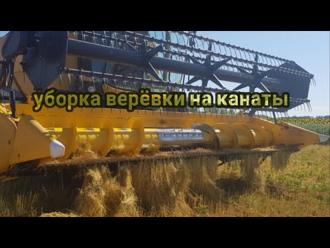 Видео: Самая сложная уборка комбайном  New Holland tc 5.90