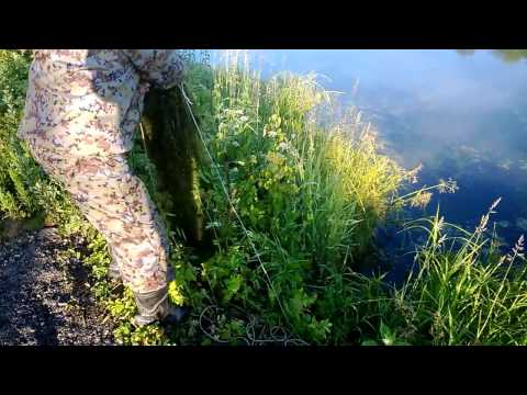 Видео: Чем чистить водоросли в месте ловли рыбы