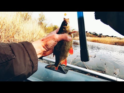 Видео: РЫБЫ СГИБАЮТ УДИЛИЩЕ! ЛОВЛЯ КРУПНОЙ КРАСНОПЕРКИ НА КУКУРУЗУ ВЕСНОЙ С ЛОДКИ! ВОТ ЭТО КЛЁВ!