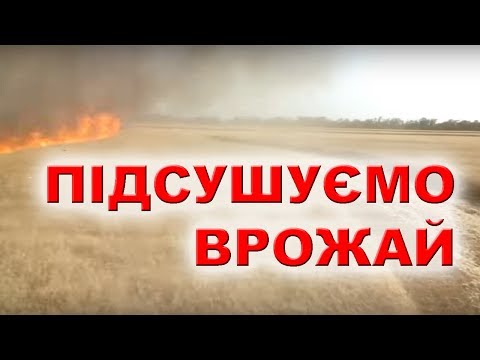 Видео: ДЕСИКАЦИЯ- РАУНДАП ИЛИ ДИКВАТ | ПОДГОН СОРНЯКА, НЕ РАВНОМЕРНО СОЗРЕВШИЕ ЗЕРНО