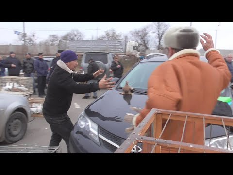Видео: Ярмарка голубей .Рязань.4 ноября 2023. Фильм 2