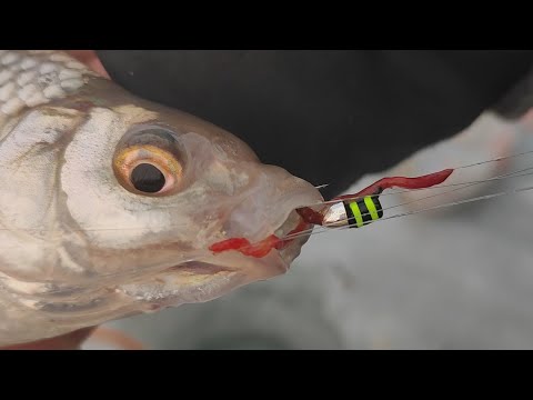 Видео: ЛОВЧИЕ МОРМЫШКИ...ПОКАЗАЛИ ОТЛИЧНЫЙ РЕЗУЛЬТАТ!!! Рыбалка 2024-2025