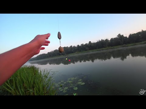Видео: КАРАСЬ на донки. р.ДОН Август 22 ПЕНОПЛАСТ и БОЙЛЫ сделали рыбалку