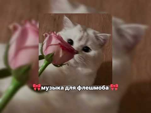 Видео: 🎀музыка для флешмоба🎀