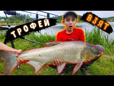 Видео: ПОЙМАЕТ даже РЕБЕНОК / Ловля толстолоба / Толстолобик
