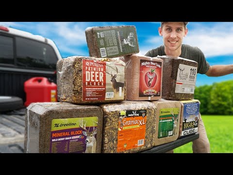 Видео: Уникальный эксперимент с привлекателем оленей! (Тест бок о бок)