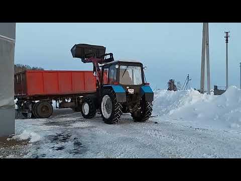 Видео: КолХОЗ с НУЛЯ Годовой отчет #6 Что дальше?