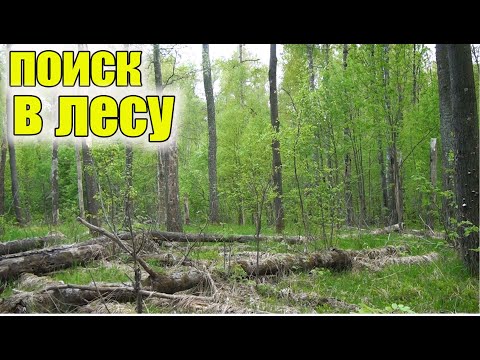 Видео: Коп по старине!Поиск находок в лесу