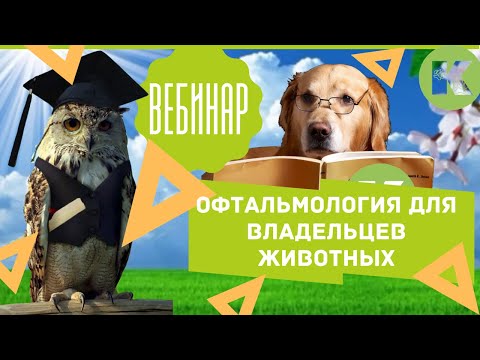 Видео: Вебинар. Офтальмология для владельцев животных. Болезни глаз. Ветклиника "Котонай".