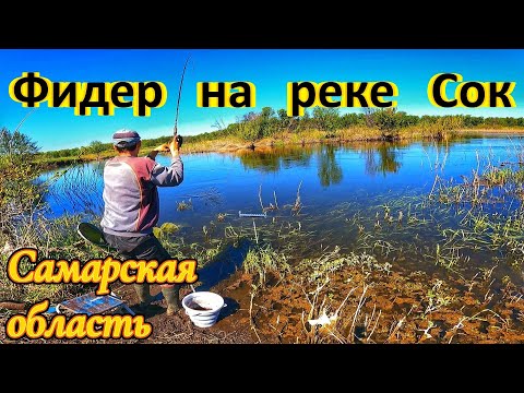 Видео: РЕКА СОК,ФИДЕР/ РЫБАЛКА В САМАРСКОЙ ОБЛАСТИ/ЛОВЛЯ ПЛОТВЫ И ГУСТЕРЫ/СЕКРЕТЫ ФИДЕРНОЙ ЛОВЛИ/ВЕСНА 2024