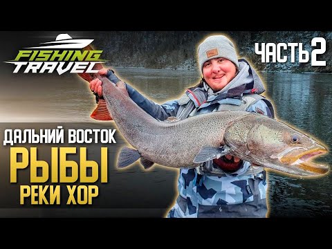 Видео: ТАЕЖНАЯ РЫБАЛКА | ДАЛЬНИЙ ВОСТОК | РЕКА ХОР | ЧАСТЬ 2
