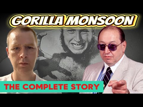 Видео: Полная история Гориллы Монсун — от ПЯТКИ МОНСТРУА до ЗОЛОТЫХ КОММЕНТАРИЕВ и печальной ТРАГИЧЕСКОЙ...