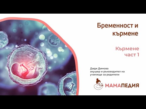 Видео: Кърменето – съвети от практиката, част 1, от Диди Димова, акушер, ръководител на училище за родители