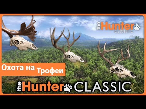 Видео: Охота на Трофеи (Черепа) в theHunter classic