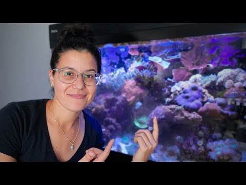 Видео: Я боюсь этой ежегодной подмены воды