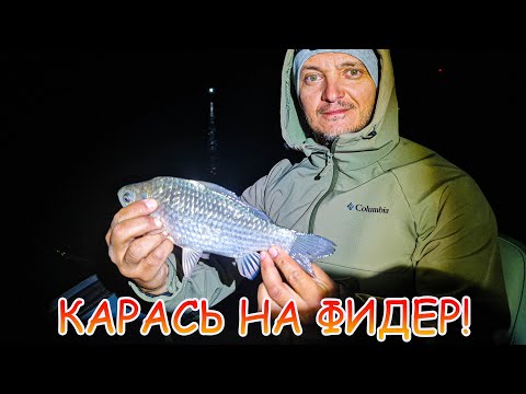 Видео: Карась на фидер осенью! Ночная рыбалка на Дону!