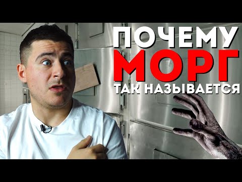Видео: Как расшифровывается МОРГ | Отвечаю на ваши комментарии #14 | Мамедыч