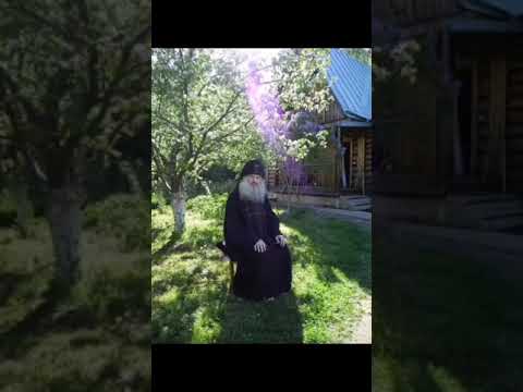 Видео: иеросхимонах Силуан Сухаревский