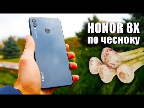 Видео: Обзор HONOR 8X - "меняйся или сдоxни..."