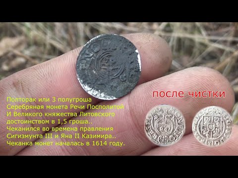 Видео: Я нашел ее! Полторак Сигизмунда 3 ! Серебряная монета! Поиск с металлоискателем! КОП и РЫБАЛКА!