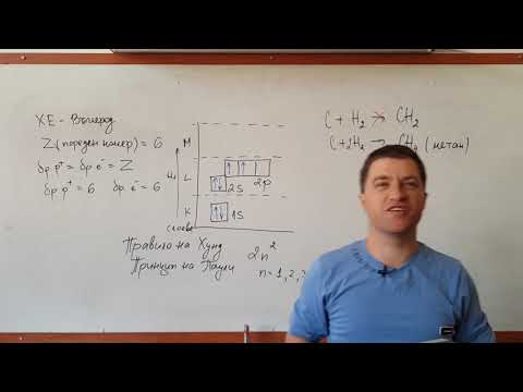 Видео: ТЕМА - ХИБРИДИЗАЦИЯ